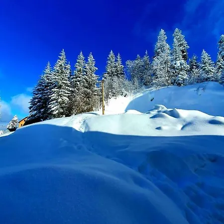 7lux Jahorina