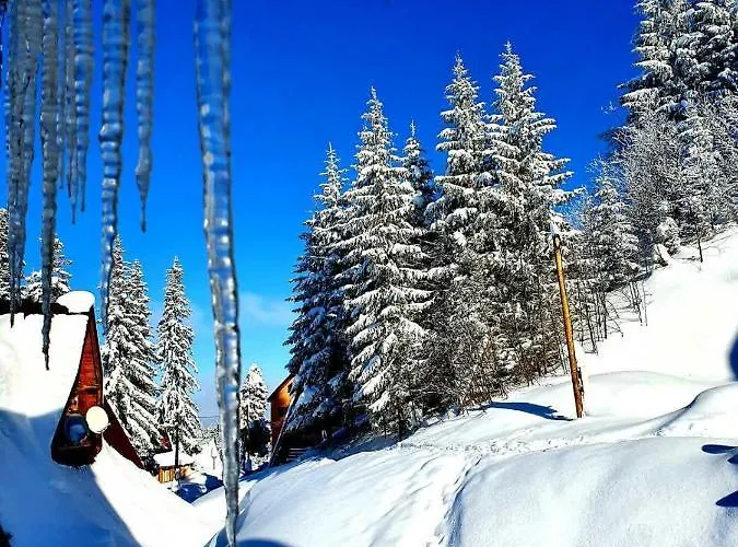 7lux شقة ياهورينا