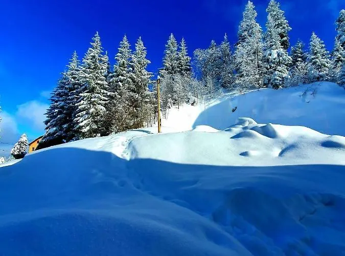 7lux ياهورينا